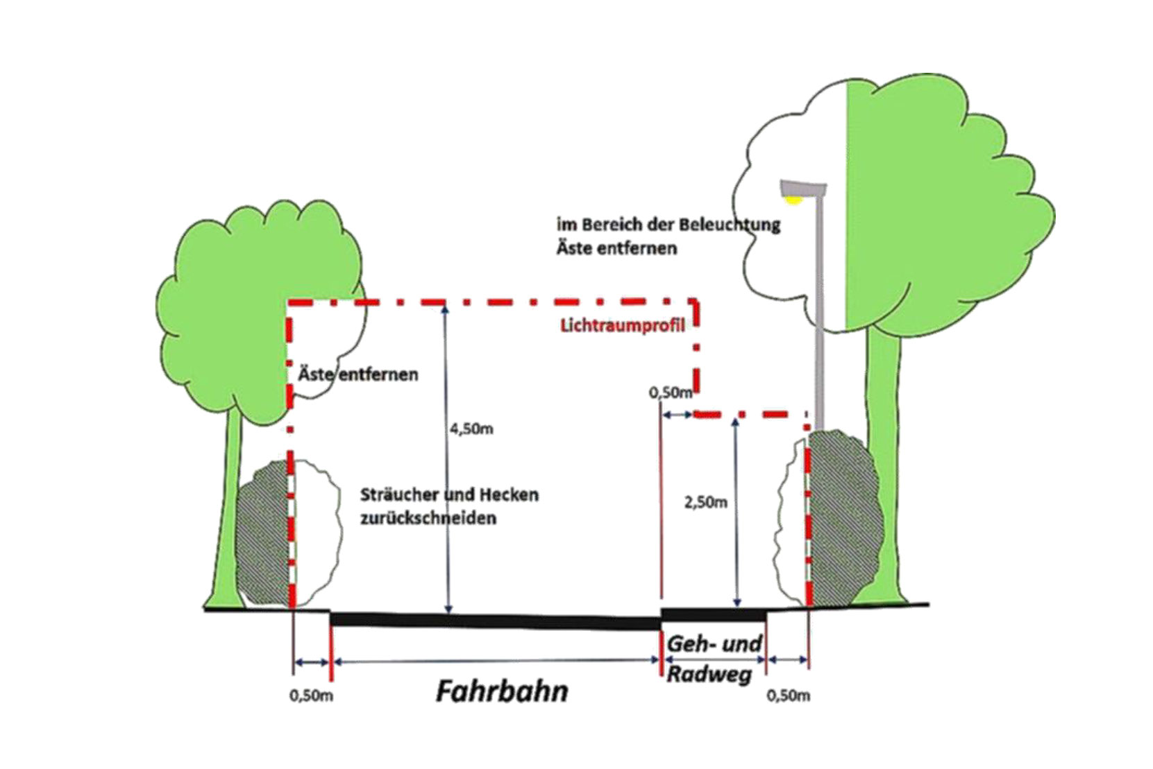 Grossansicht in neuem Fenster: Lichtaumprofil zum Freischneiden von öffentlichen Freiflächen Grossansicht in neuem Fenster: Lichtaumprofil zum Freischneiden von öffentlichen Freiflächen