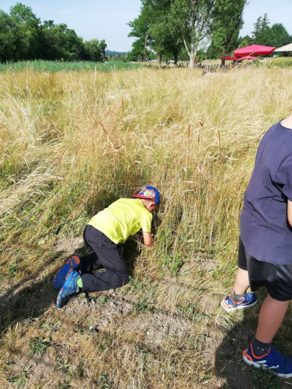 Grossansicht in neuem Fenster: 20.06.2023: Dorfwiesentag in den Rottauen in Pfarrkirchen Grossansicht in neuem Fenster: 20.06.2023: Dorfwiesentag in den Rottauen in Pfarrkirchen