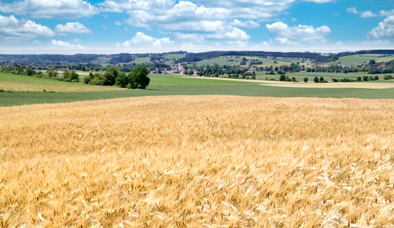 Projekt Naturerlebnis Roßbach